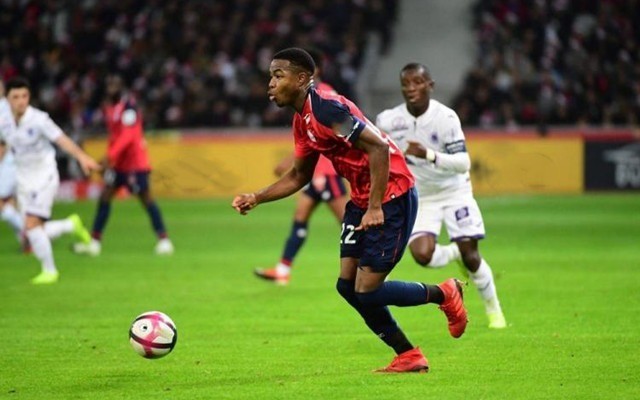 教练后迅速 教练后迅速