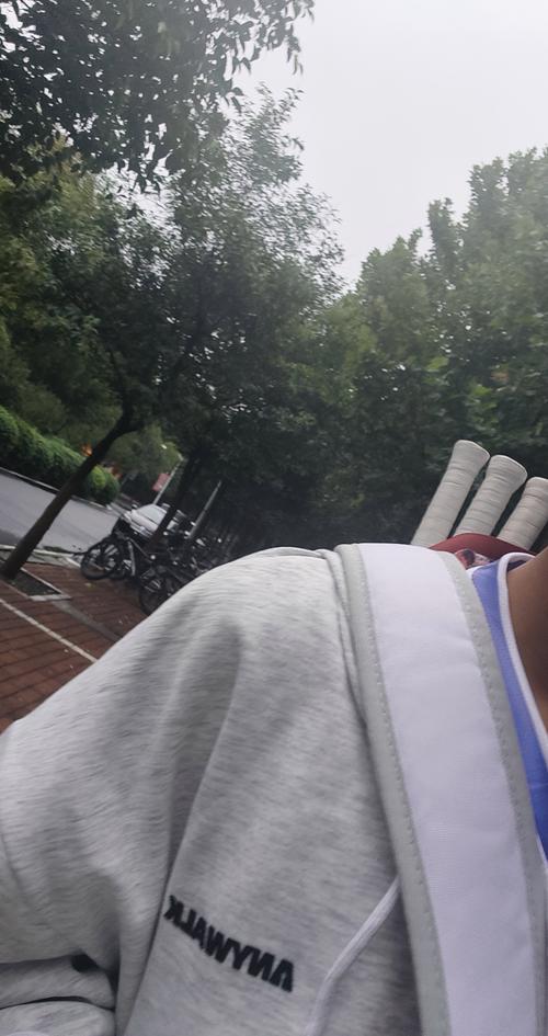 率与收益弹